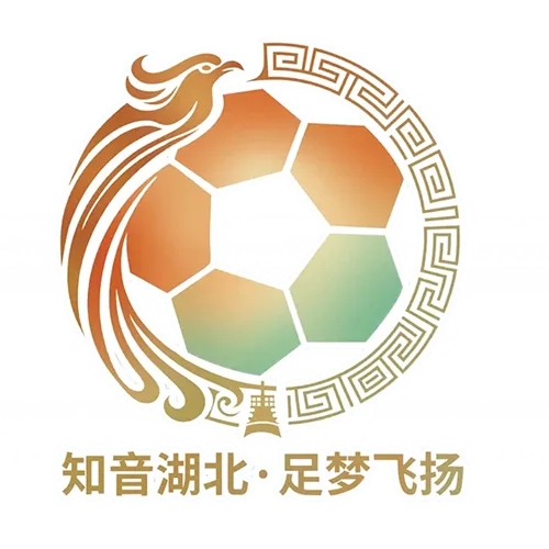 湖北省城市足球联赛 鄂州临空队VS襄阳东风风神队20260927